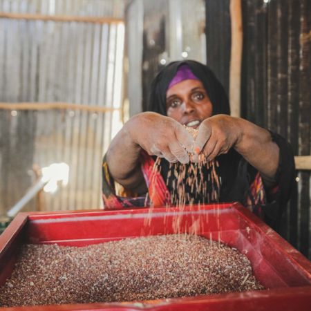 Women in East Africa can feed their families through grinding mills