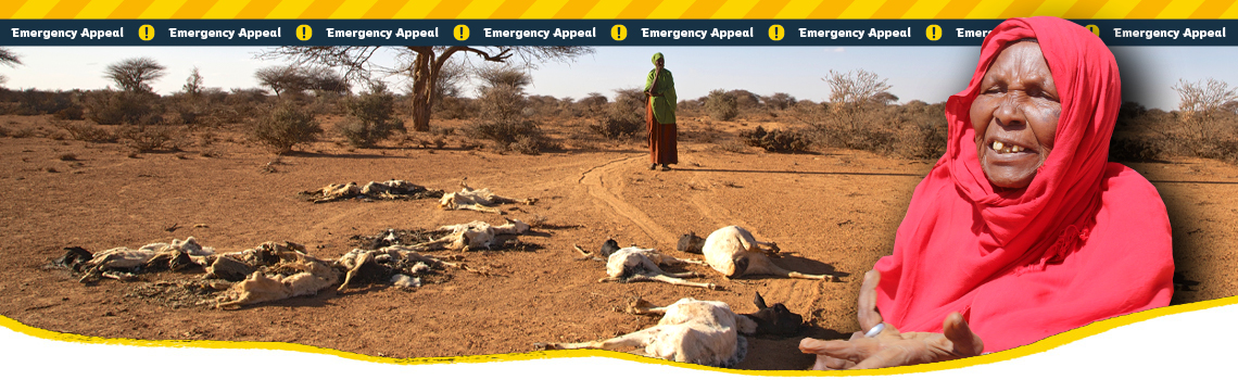 Emergency appeal in East Africa - Donate now - Charitable organization